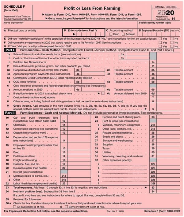 IRS 1040 Form 13