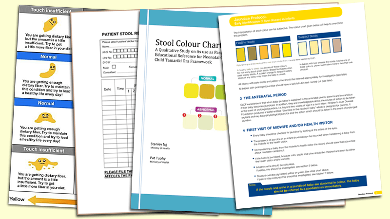 Stool Color Chart Meaning