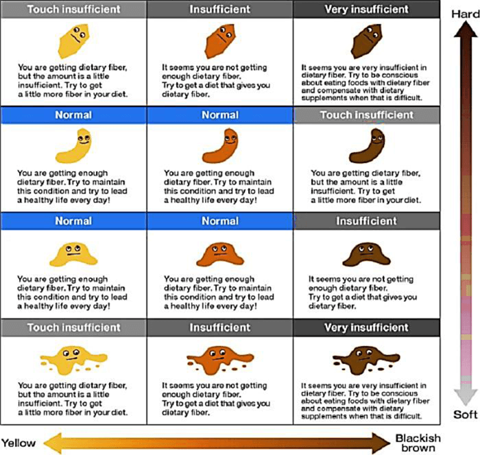 types of poop what doctors need you to know the healthy at readers ...