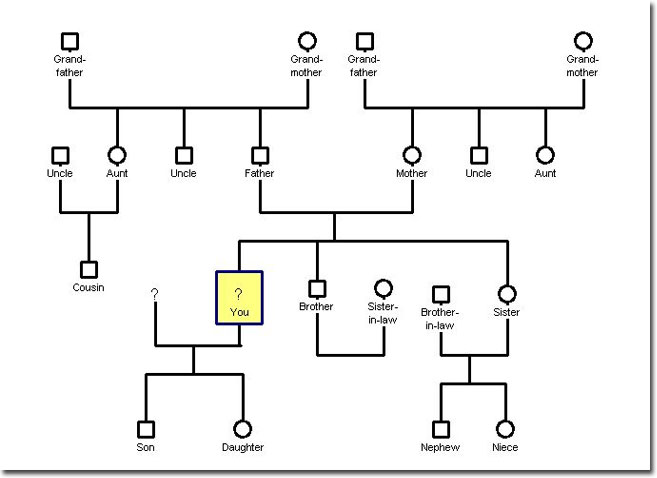 four-generational Genogram Tree Template