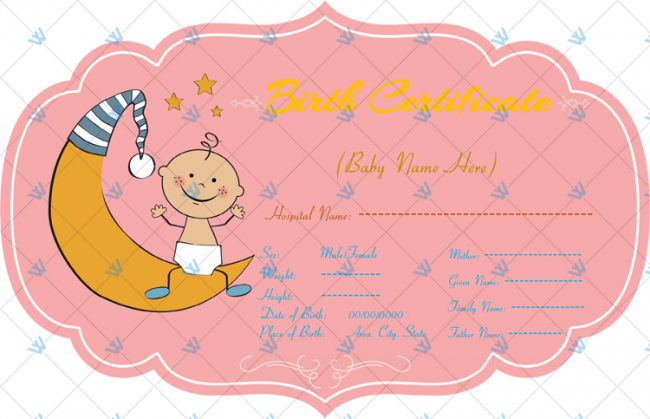 Baby-Birth-Certificate-Pink-Themed
