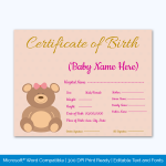 Birth-Certificate-Template-bear-Themed-Preview