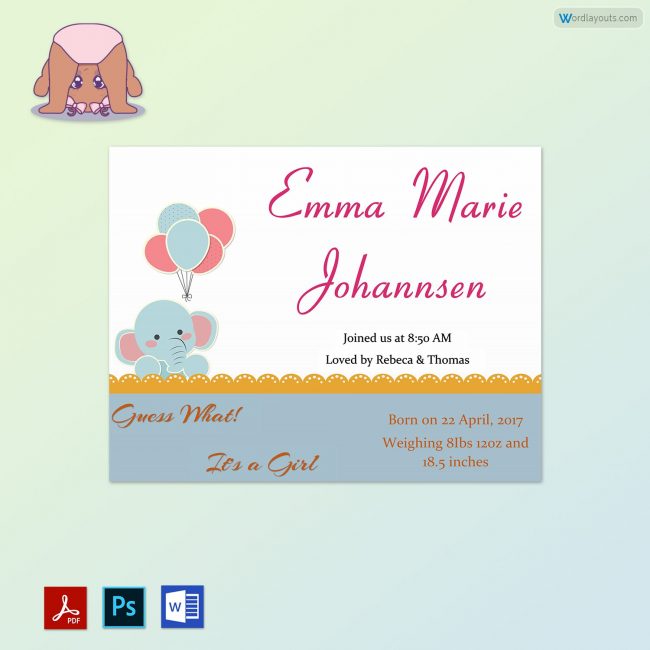 Baby Announcement Template Example