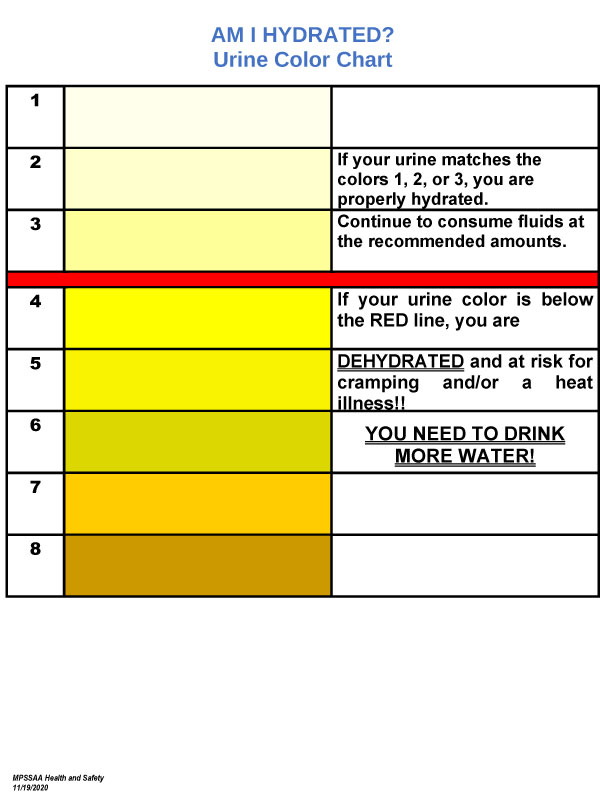 free 10 sample urine color chart templates in pdf ms word - 2023 urine ...