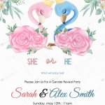 Gender-Reveal-Preview-02