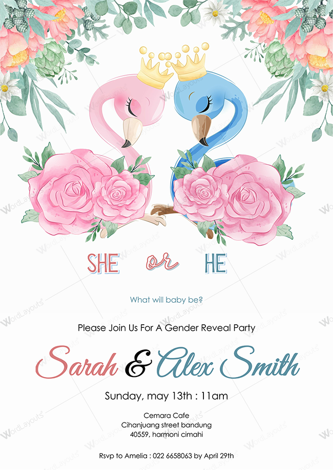 Gender-Reveal-Preview-02