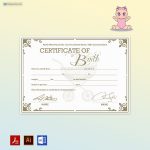Birth Certificate (Vector Background)