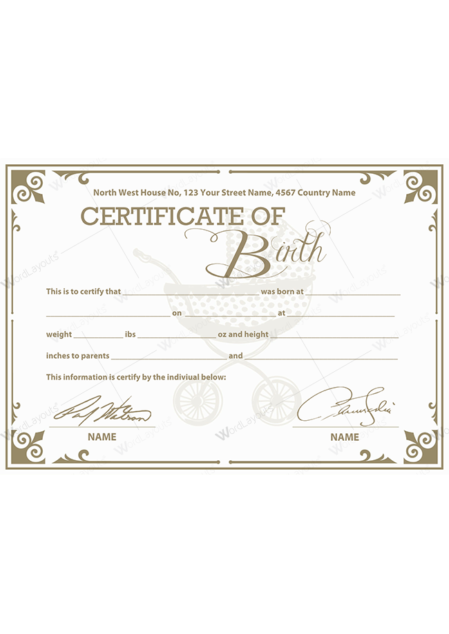 Birth Certificate (Vector Background)