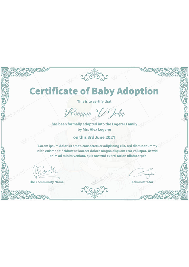 Baby Adoption Certificate (Elegant Color Border)