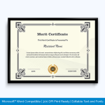 Merit Certificate