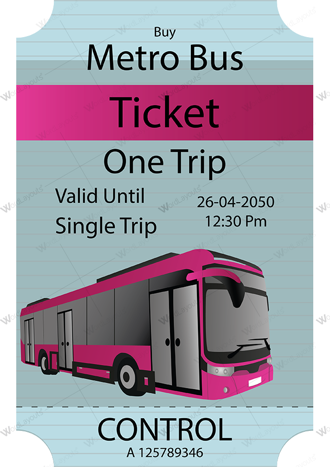 MetroBus Ticket 01