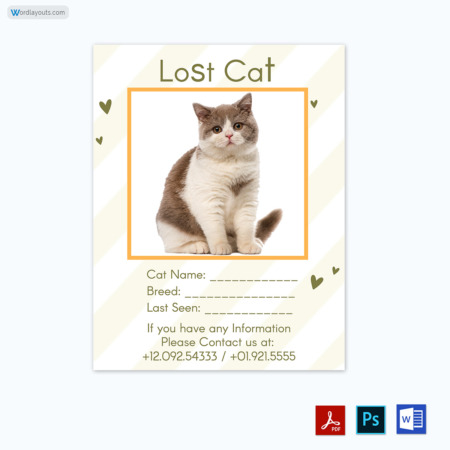 Cat Lost Flyer Template 11