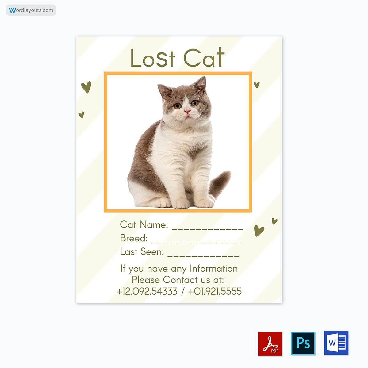 Cat Lost Flyer Template-3r57603-07-23-p11