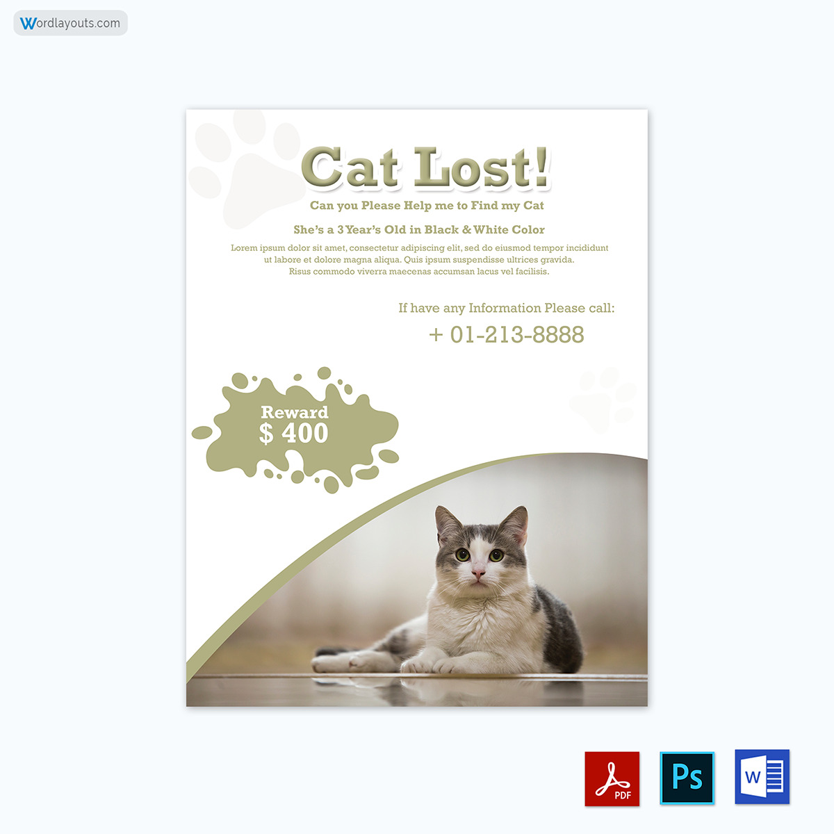 Cat Lost Flyer Template 12
