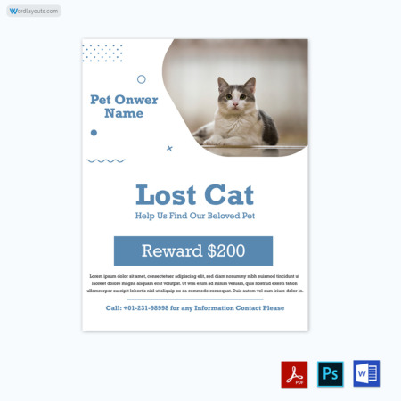 Cat Lost Flyer Template 13