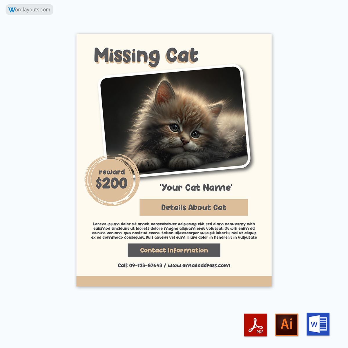 Cat Lost Flyer Template 14