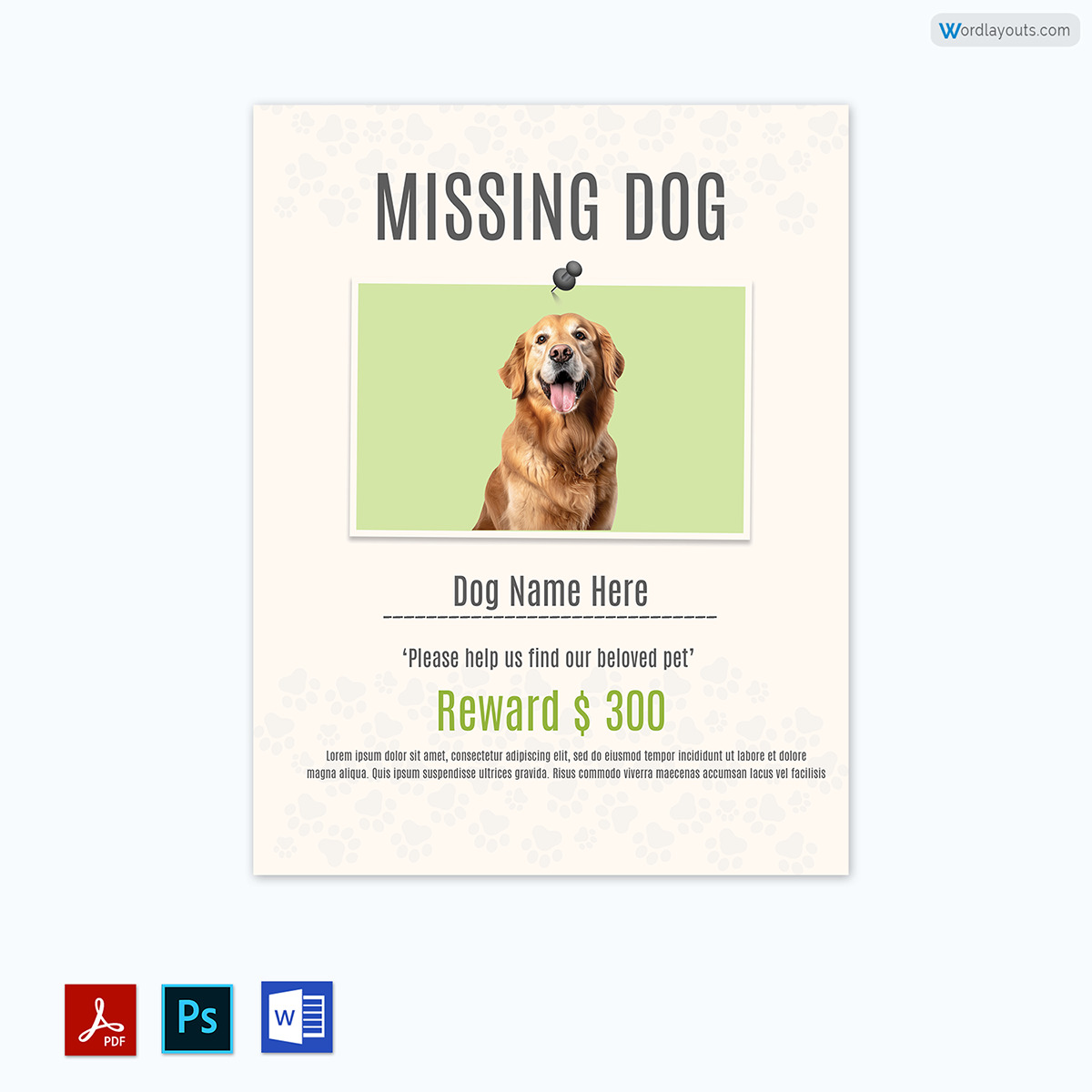 Dog Lost Flyer Template-3r57603-07-23-p03